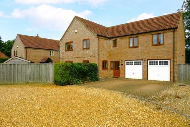 Thumbnail Detached house to rent in Banham Walk, Feltwell, Thetford