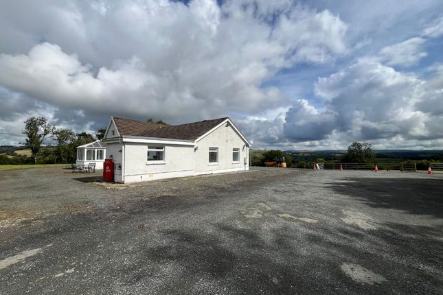 Brynhebog, Llandysul photo 5