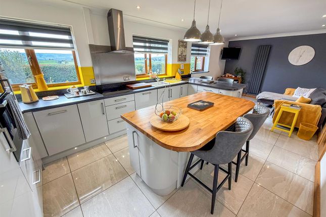 Kitchen/Dining Room/ Family Room