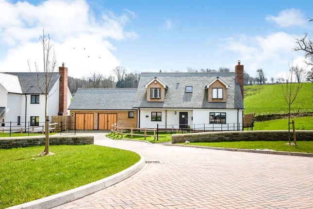 Thumbnail Detached house for sale in Fortescue Drive, Filleigh, Barnstaple