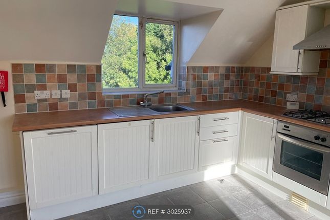 Curzon Lane, Alvaston, Derby photo 2