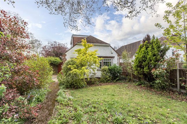 Thumbnail Bungalow for sale in New Haw, Surrey