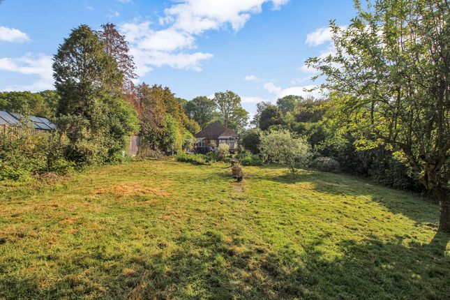 Firtree Cottage Lenacre Street, Ashford photo 4