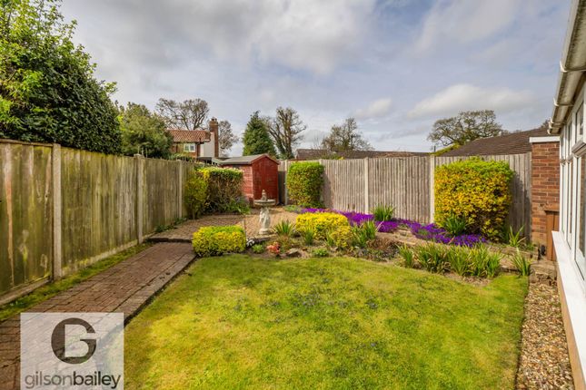 4, Rosemary Road, Norwich photo 3