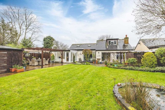 Thumbnail Bungalow for sale in Newton Lane, Old Windsor