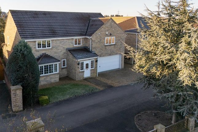 Thumbnail Detached house for sale in Chestnut Court, Thrybergh, Rotherham