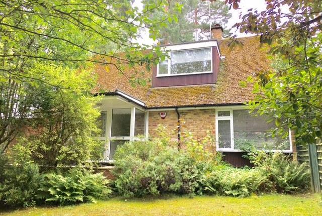Thumbnail Detached house to rent in Heathermount Drive, Crowthorne