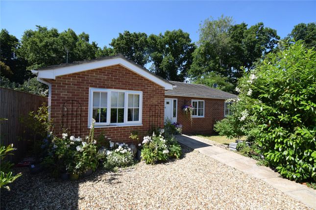 Thumbnail Bungalow for sale in Rooksfield, Bishops Green, Newbury