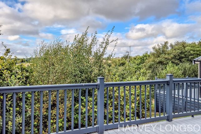 Hedley Wood Holiday Park, Bude photo 4
