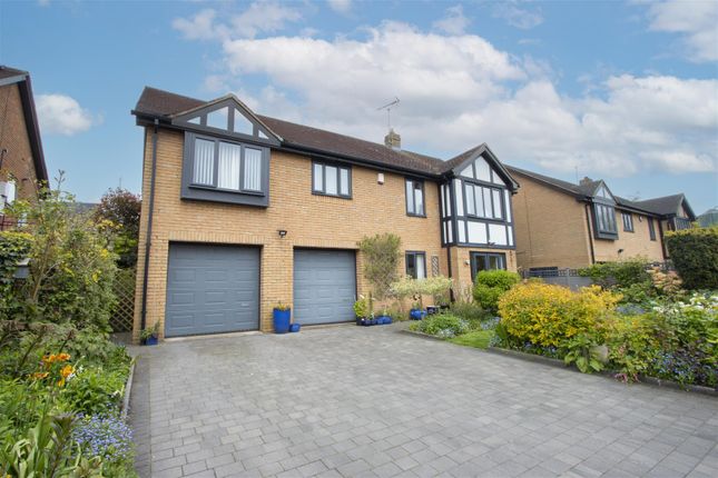 Thumbnail Detached house for sale in The Pinfold, Glapwell, Chesterfield