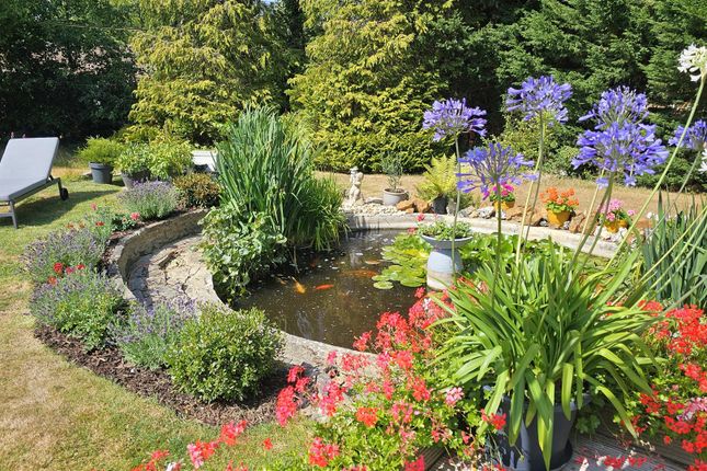 Garden 4.Jpg