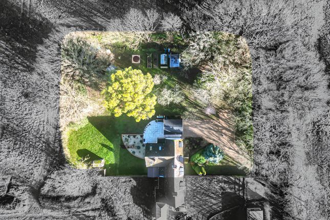 2 Fir Tree Cottages, Stone Road, Great Bromley photo 3