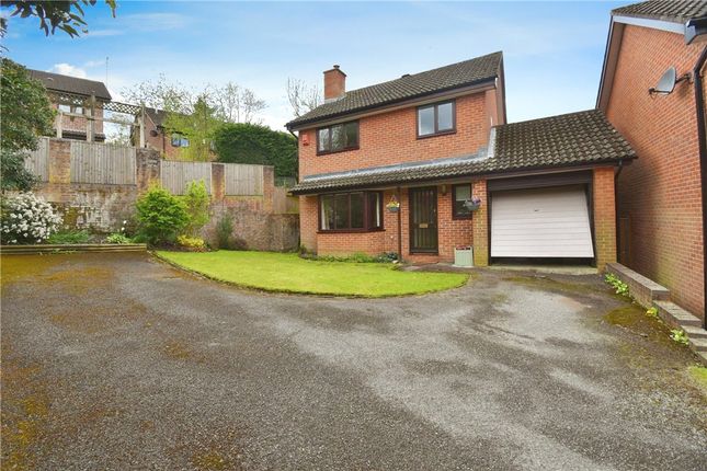 Thumbnail Detached house for sale in Jenner Way, Romsey, Hampshire