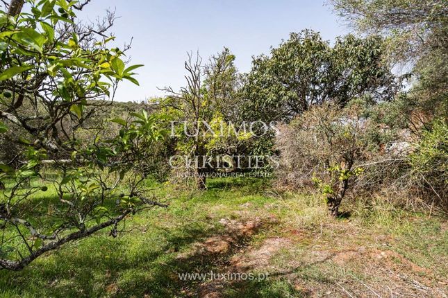 Land for sale in 8600 Lagos, Portugal
