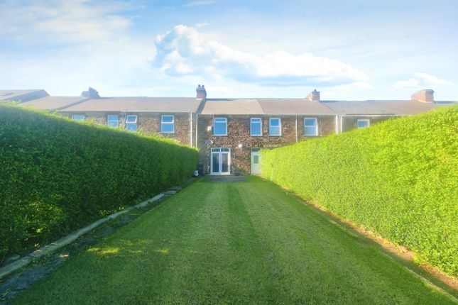Terraced house to rent in Dacre Gardens, Consett, County Durham