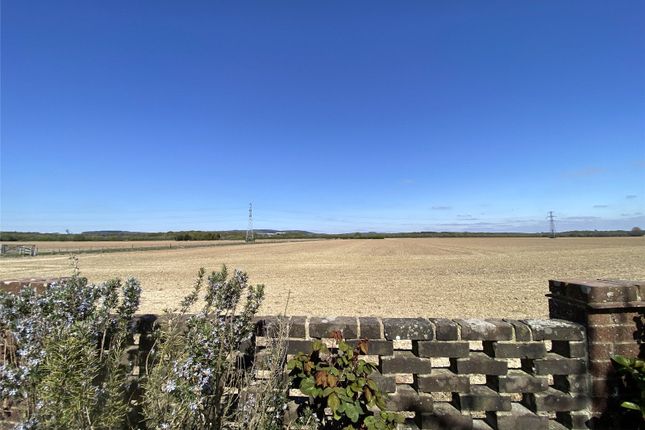 Le Mans,, Newells Lane, Chichester photo 3