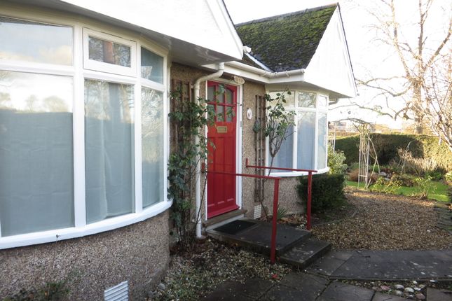 Detached bungalow to rent in Elmhurst Lane, Street