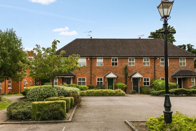 Thumbnail Terraced house to rent in Victoria Mews, St. Judes Road, Englefield Green, Egham
