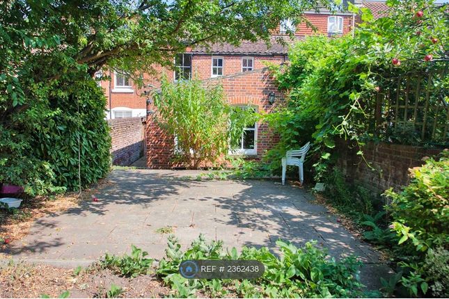 Rear Garden / Patio