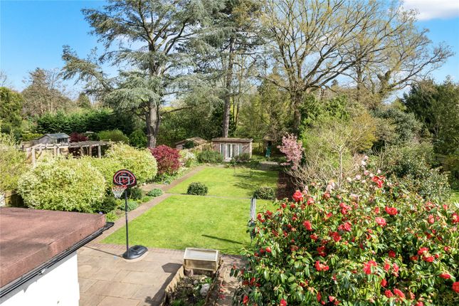 Detached house for sale in Arbrook Lane, Esher, Surrey