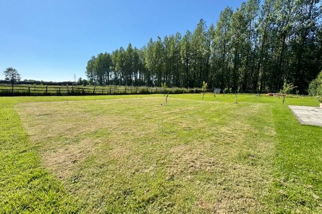 Croquet Pitch