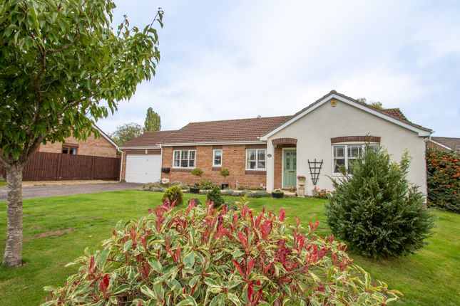 3-bed bungalow on 93 Thorne Farm Way, Ottery St Mary, £500,000