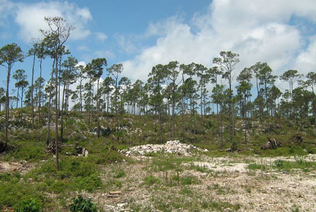 Land for sale in Great Cistern, Abaco, The Bahamas