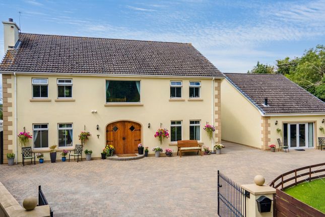 3 Coulters Hill, Newtownards photo 5