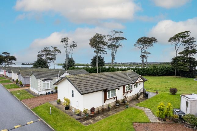 Thumbnail Lodge for sale in Seaview, Seaton Estate, Arbroath, Angus