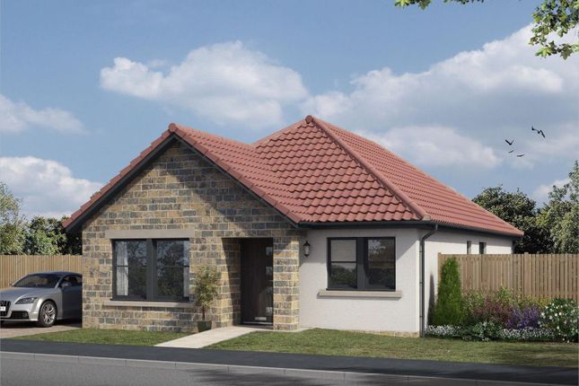 Thumbnail Detached bungalow for sale in Shaw Feature, Easy Living Developments, Plot 055, Kings Meadow, Coaltown Of Balgonie