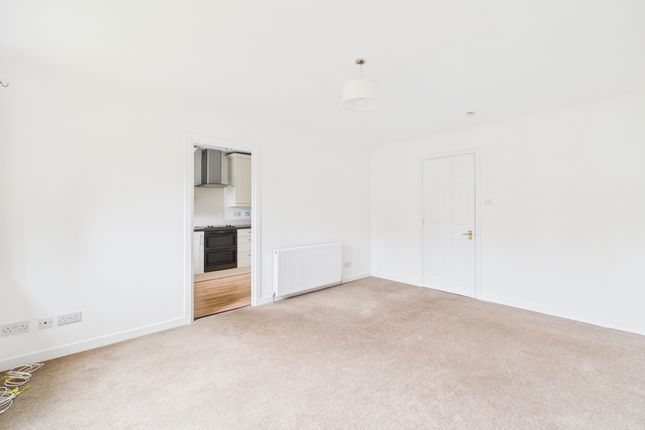 2b Springfield Avenue, Glasgow photo 4