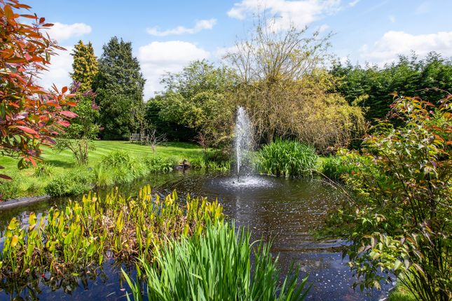 Detached house for sale in Shepherds Lane, Chorleywood