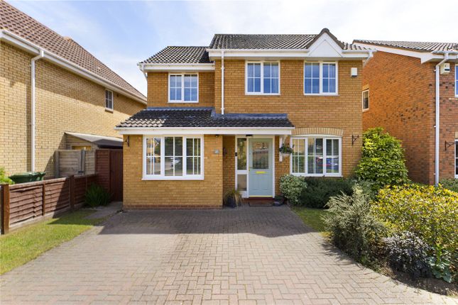 Thumbnail Detached house for sale in Buttercup Mead, Biggleswade, Bedfordshire