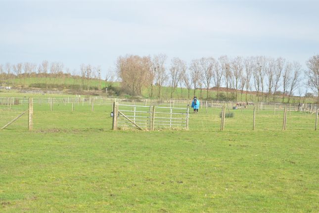 Equestrian property for sale in Raspberry Hill Lane, Iwade, Sittingbourne