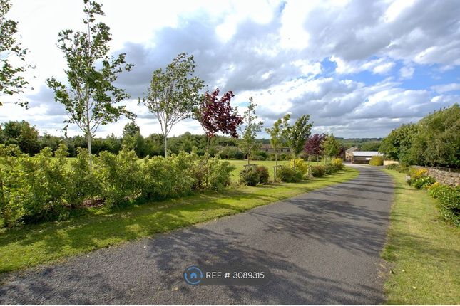 Skipton Road, Harrogate photo 3
