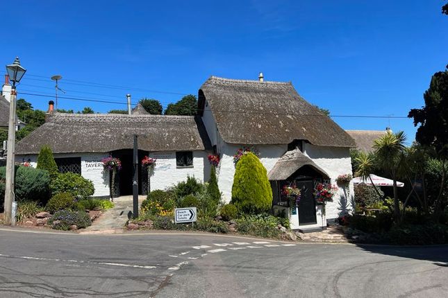 Thumbnail Pub/bar for sale in Steep Hill, Maidencombe, Torquay