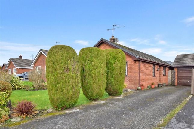 Nantlais, Wrexham photo 4