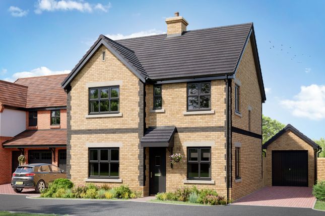Thumbnail Detached house for sale in "The Mayfair" at Ann Strutt Close, Hadleigh, Ipswich