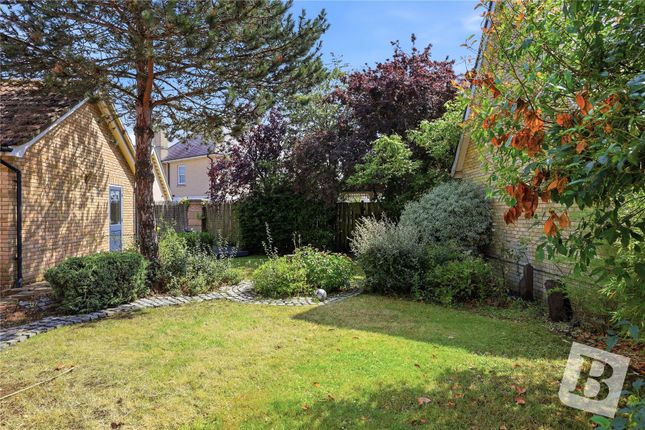 2, Louvain Drive, Essex photo 4