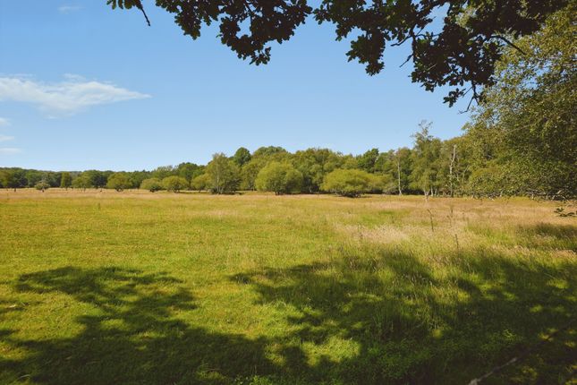 The Retreat,, (Lakeside Retreat 11), New Road photo 3