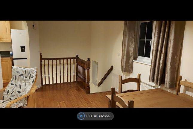 Buccaneer Grove, Newport photo 3
