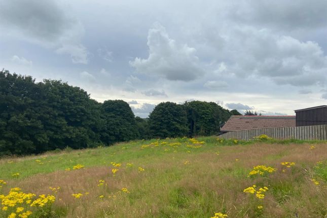 PLOT 12, Braehead Farm, Rumbling Bridge photo 4