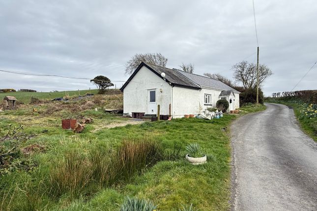 Pen Ty Parc, Llanilar, Aberystwyth photo 5