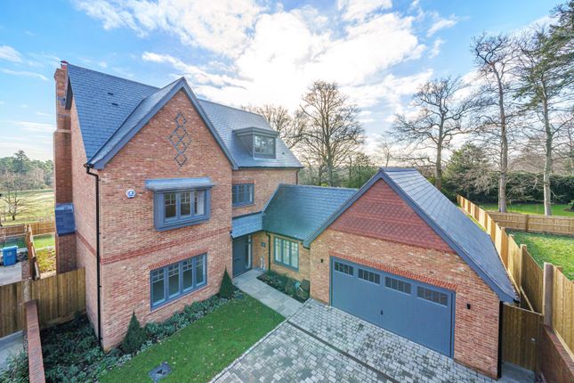 Thumbnail Detached house to rent in Holly Hill Drive, Ascot