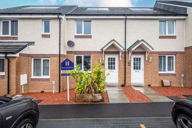 Thumbnail Terraced house for sale in Pyotshaw Way, Cambuslang, Glasgow