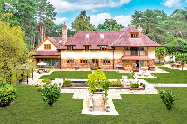 Thumbnail Detached house for sale in Avon Avenue, Ringwood