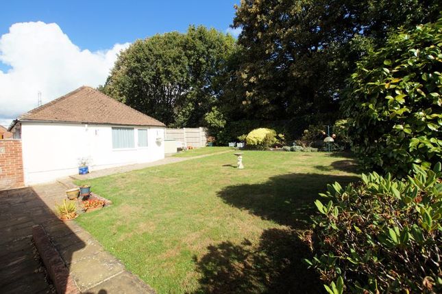 26, The Thicket, Fareham photo 4