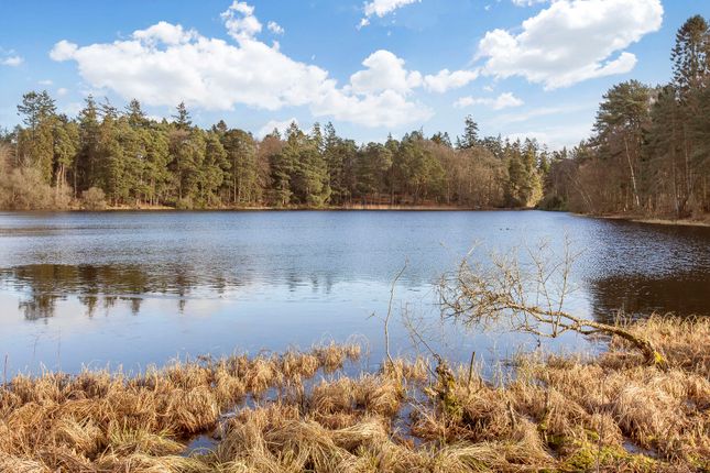 Detached bungalow for sale in Burnbank Park, Blairgowrie, Perthshire