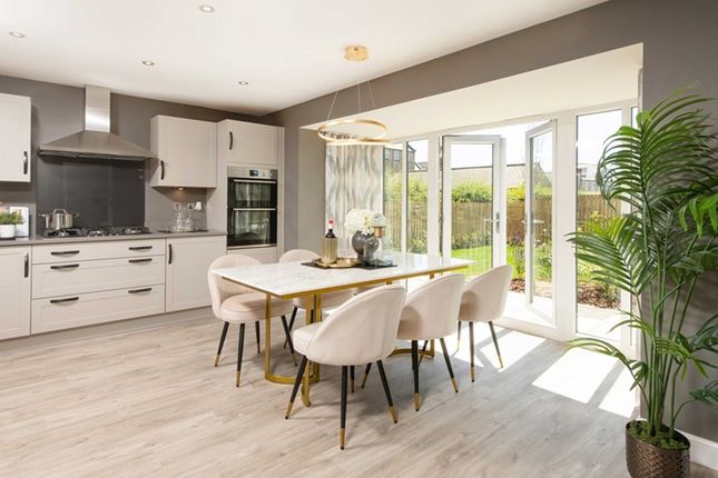 Plot 136, David Wilson Homes, Henley Gate, Ipswich photo 4