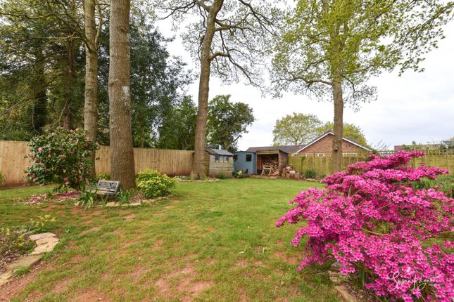 Detached bungalow for sale in Youngwoods Way, Alverstone Garden Village, Sandown
